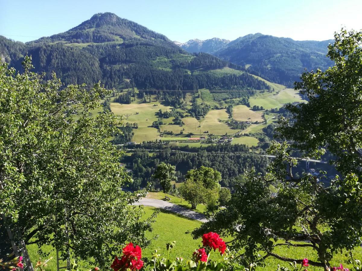 Biobergbauernhof Bergzeit In * Goldegg