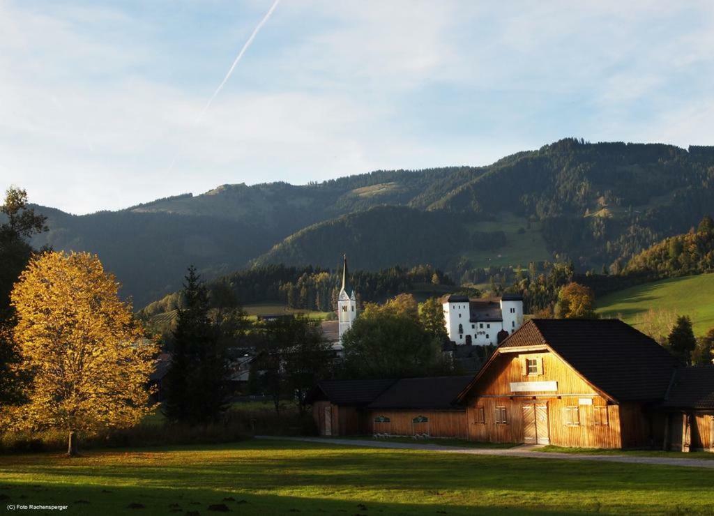 Apartment Biobergbauernhof Bergzeit In Goldegg