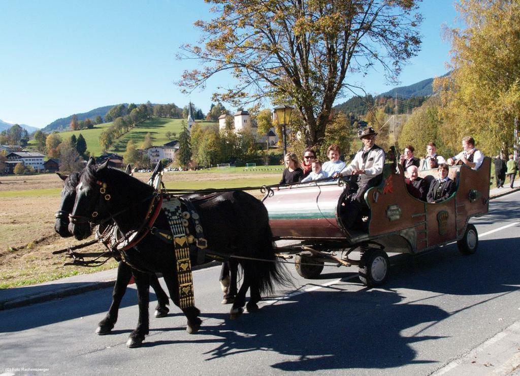 Apartment Biobergbauernhof Bergzeit In Goldegg im Pongau