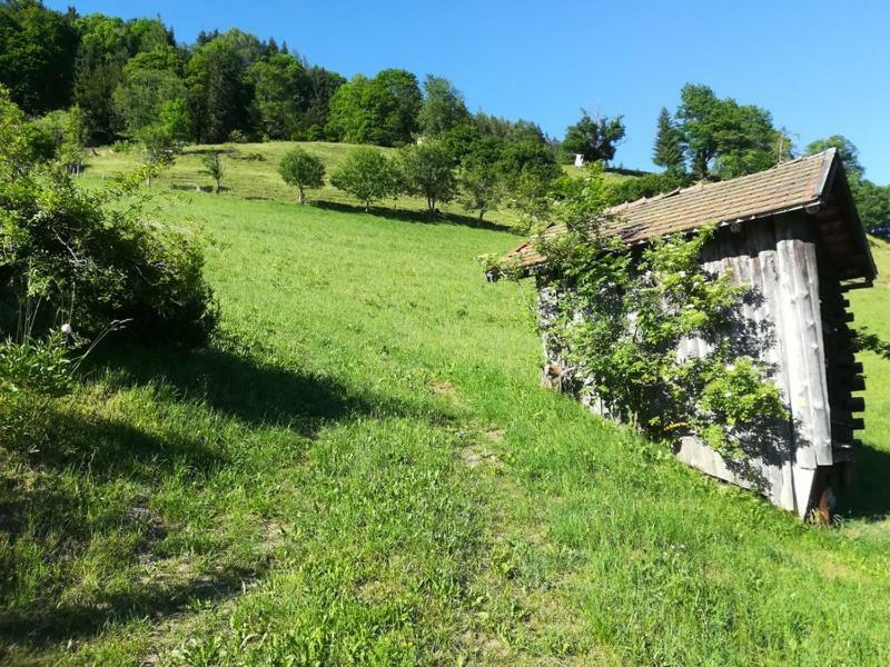 Biobergbauernhof Bergzeit In * Goldegg